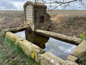 investigación medioambiental fuentes